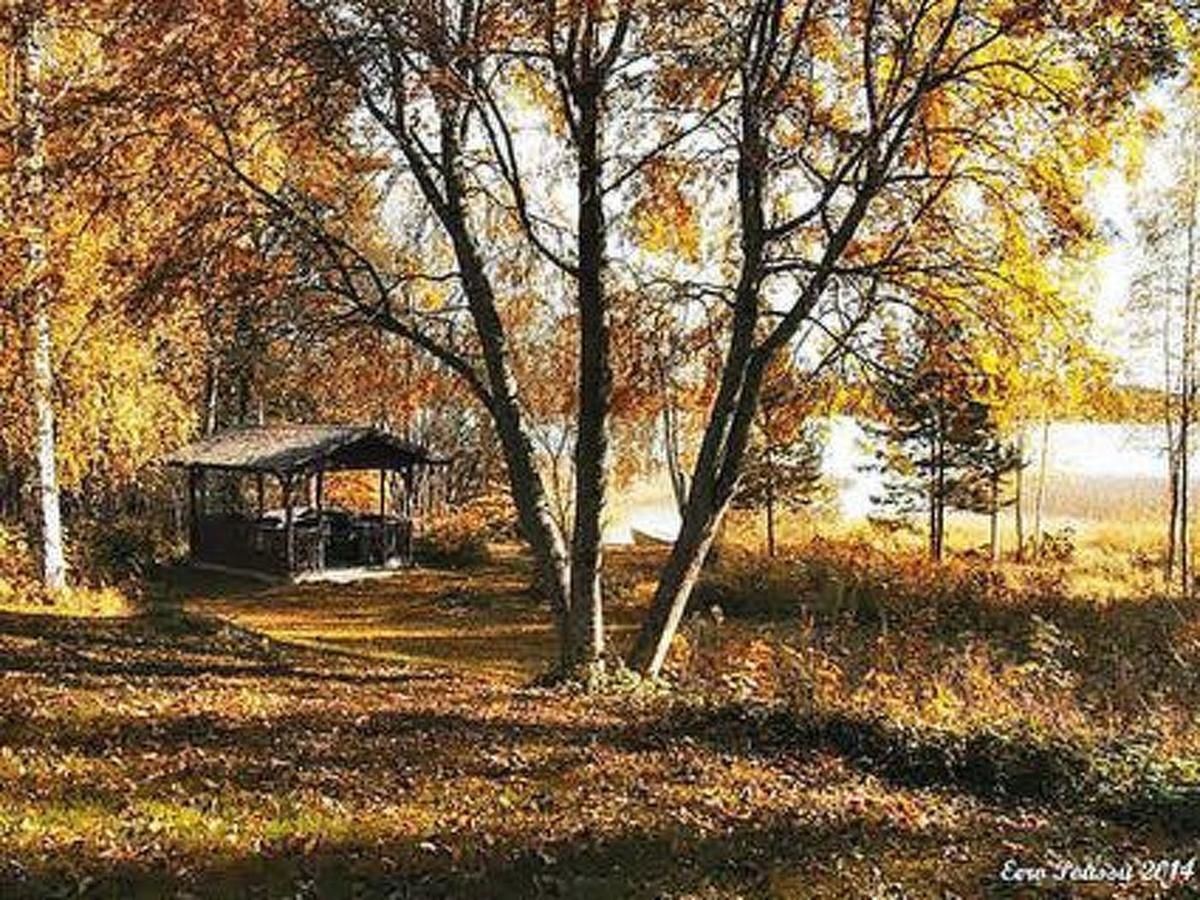 Дома для отпуска Holiday Home Peltokorte Alvettula