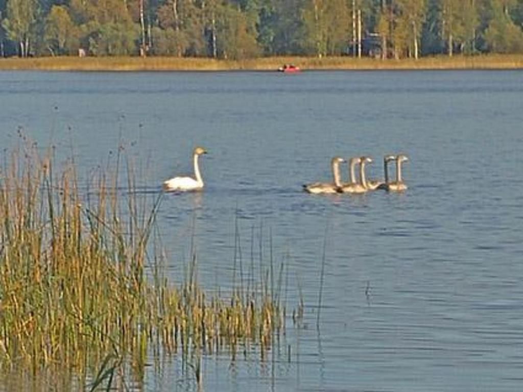 Дома для отпуска Holiday Home Peltokorte Alvettula-53